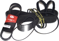 поликлиновые